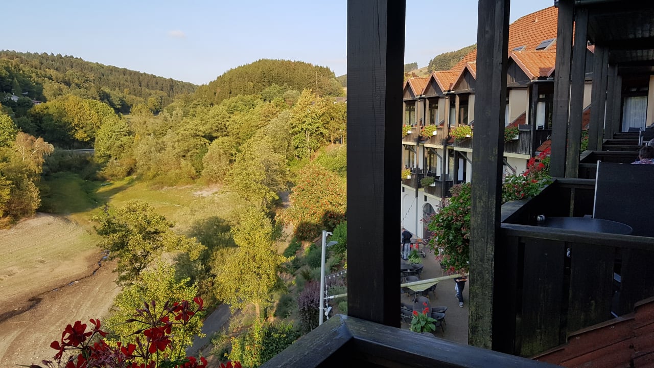 Ausblick Göbel's Seehotel Diemelsee