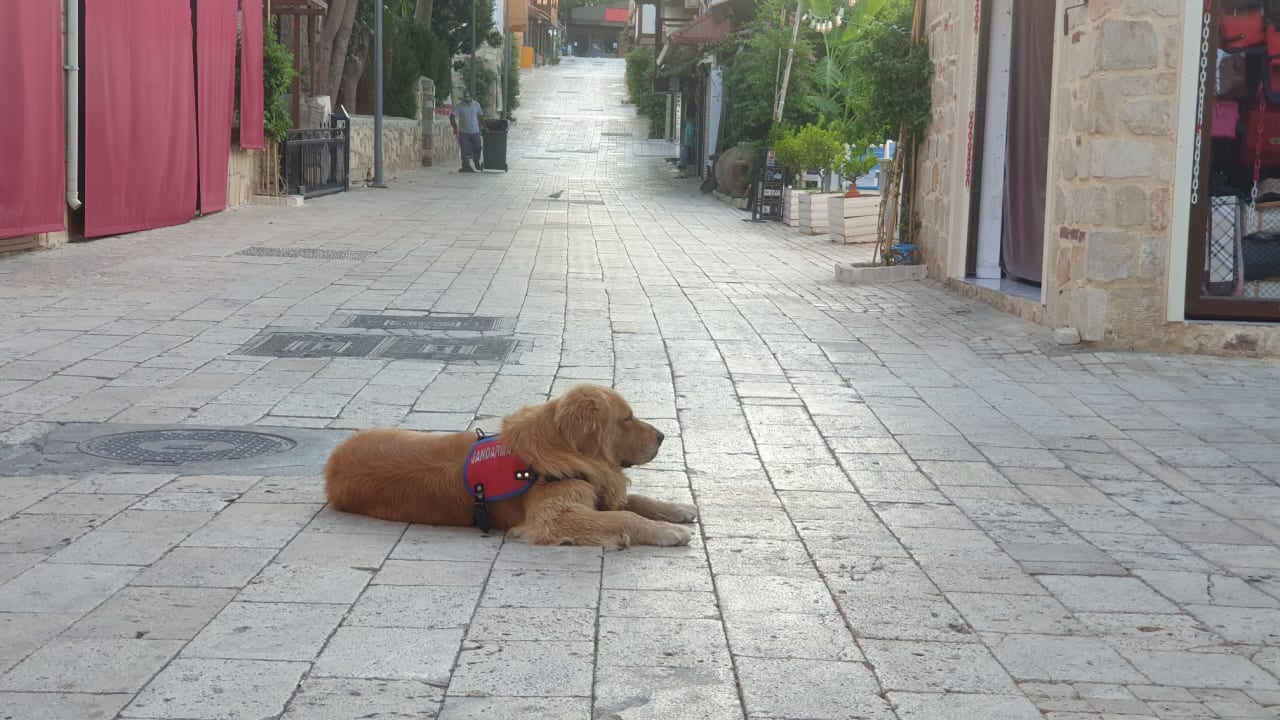 Sonstiges Trendy Side Beach Hotel - Adults only