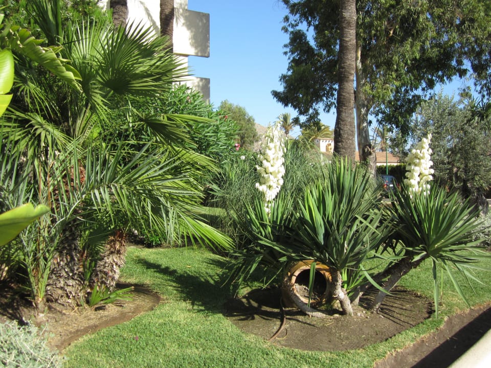 Gartenanlage  VIVA Eden Lago