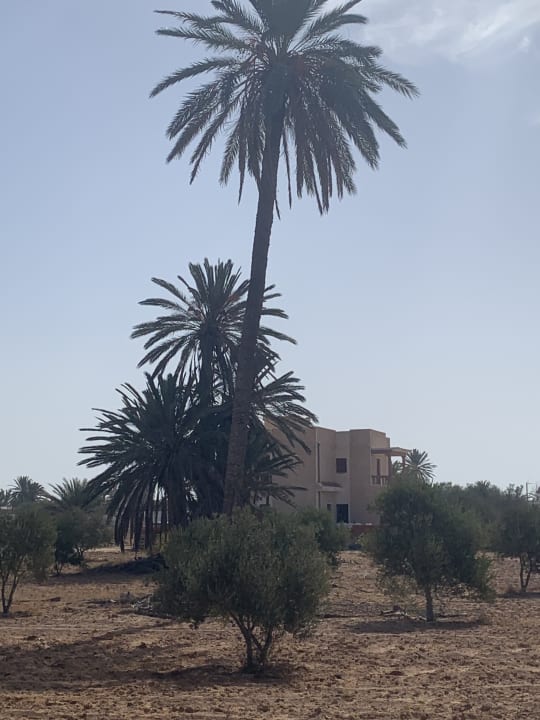 Gartenanlage Calimera Yati Beach