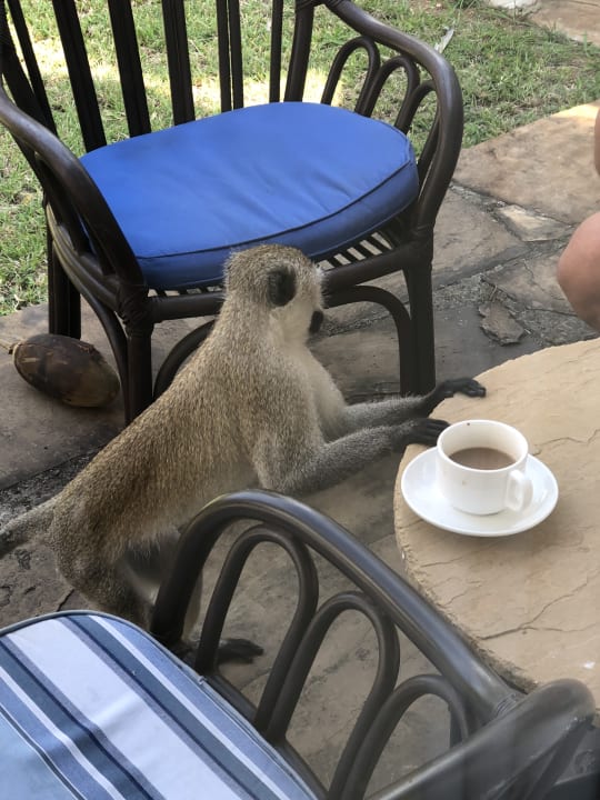 Zimmer Hotel Jacaranda Indian Ocean Beach Resort