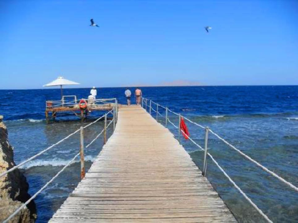 The sea Amphoras Blu