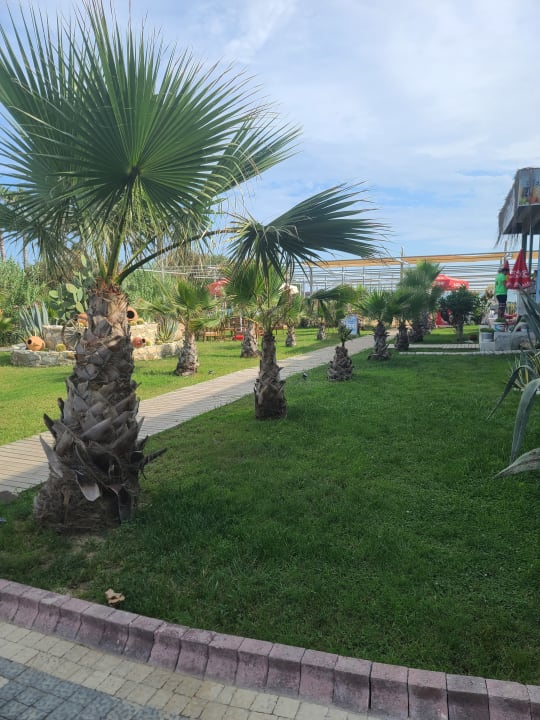 Gartenanlage Dream World Palace Hotel