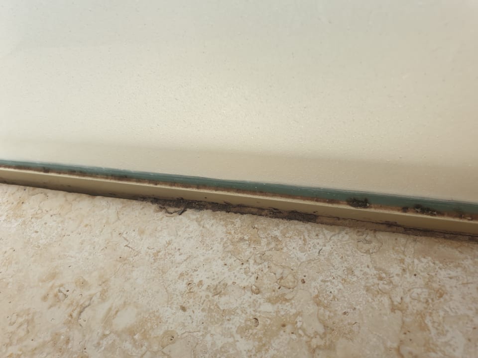 Zimmer Pickalbatros Citadel Resort