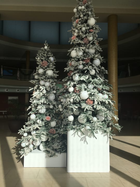 Lobby Iberostar Waves Gaviotas Park