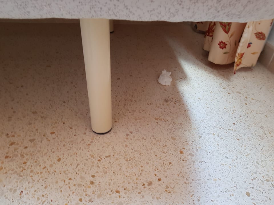 Die Ortsveränderung des Tachentuchs meines Vorgängers über d Cabot Playa Grande - Adults Only