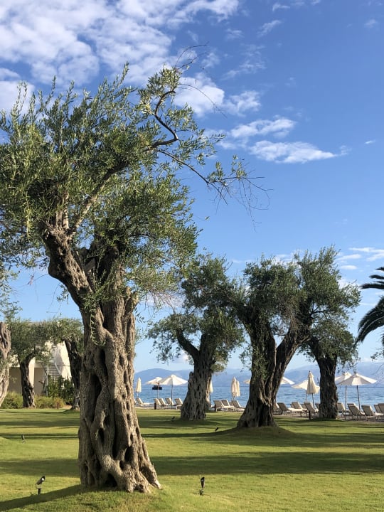 Gartenanlage Domes Miramare, a Luxury Collection Resort, Corfu