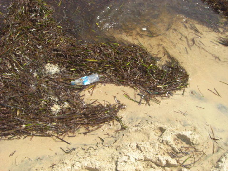 Badestrand Marhaba Royal Salem