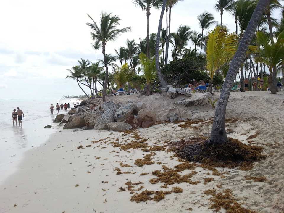 Am Wasser Hotel Riu Palace Bavaro