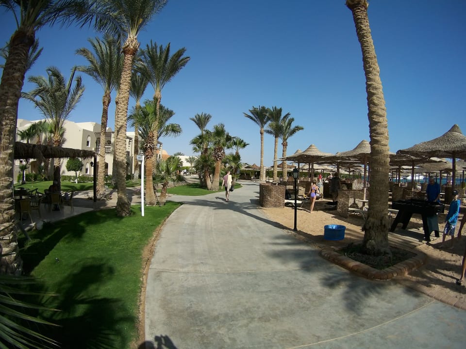 Einfach herrlich  Jaz Makadi Oasis Resort