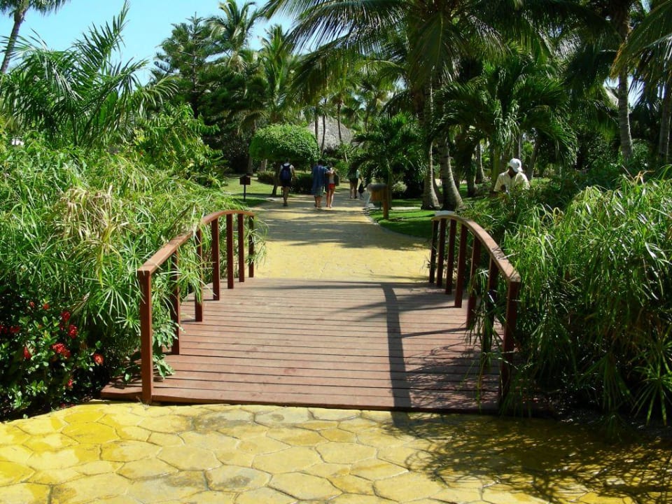 Gartenanlage Catalonia Punta Cana - All Inclusive