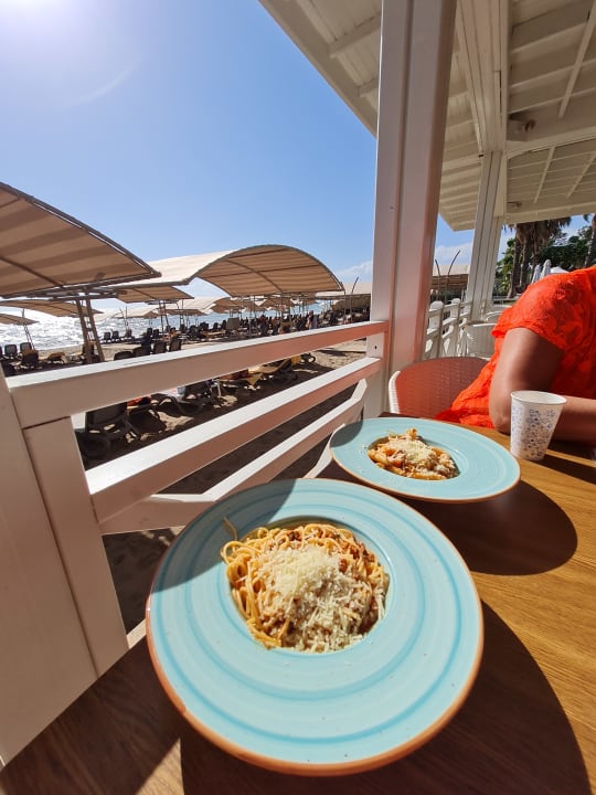 Gastro Papillon Belvil