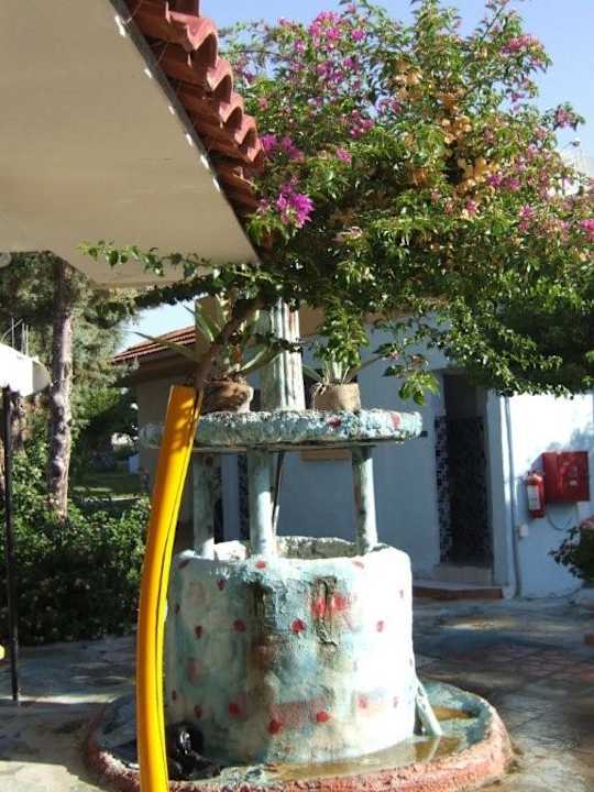 Nest faliraki Nest Apartments