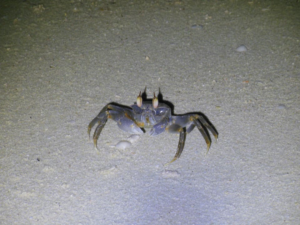 Strand Adaaran Select Hudhuran Fushi - Premium All Inclusive