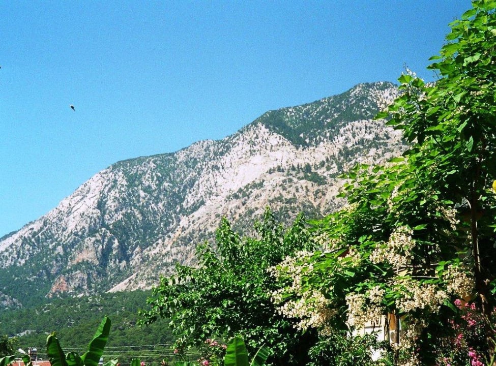 Blick auf die Berge Hotel Marin