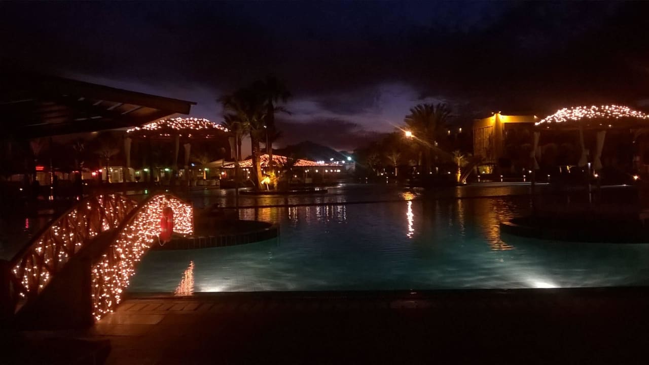 Bei Nacht Desert Rose