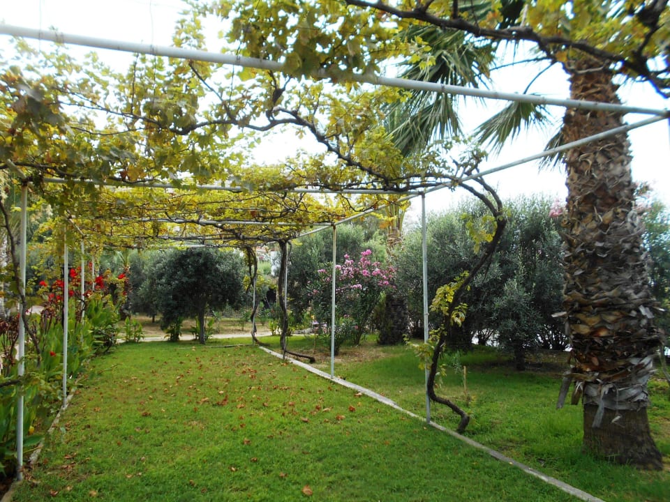 Gartenanlage Oscar Resort Hotel