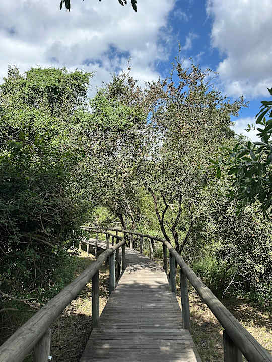 Außenansicht Hotel Tintswalo Safari Lodge