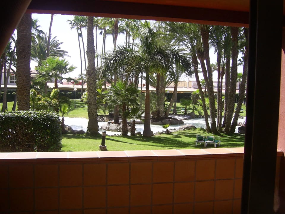 Blick vom Zimmer Hotel Riu Palace Oasis