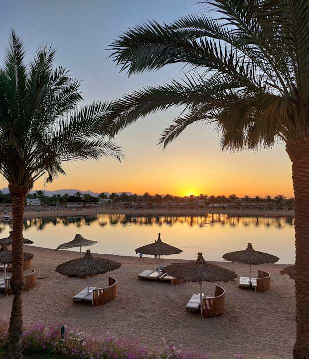 Ausblick Desert Rose