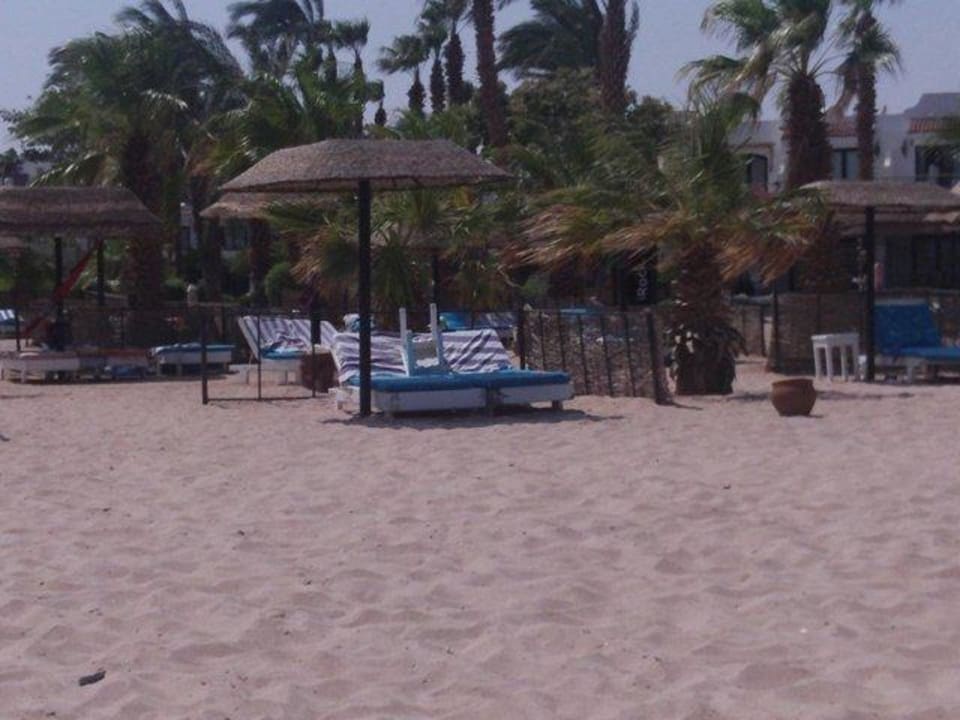 Immer alles Reserviert 22 Stunden lang  Lotus Bay Beach Resort