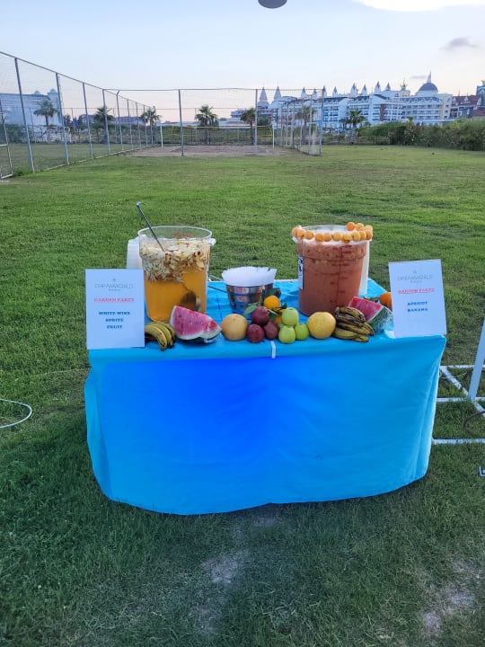 Gartenanlage Dream World Aqua Hotel