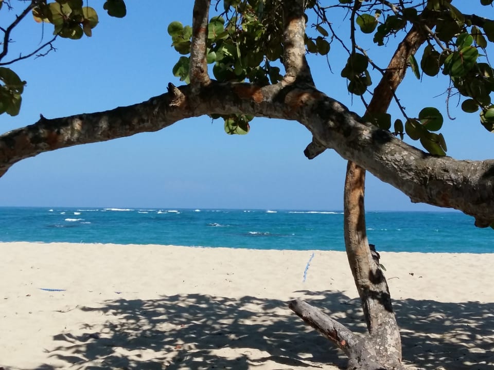 Strand Viva Heavens by Wyndham - All Inclusive Resort