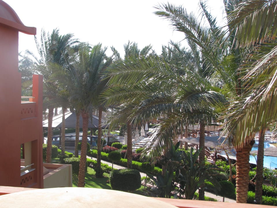 Z naszego tarasu widać basen a za palmami plażę  Sharm Grand Plaza Resort