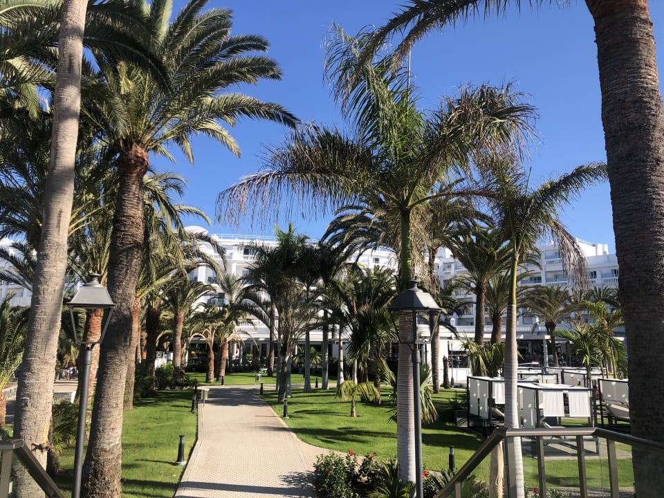 Gartenanlage Hotel Riu Palace Maspalomas Adults Only