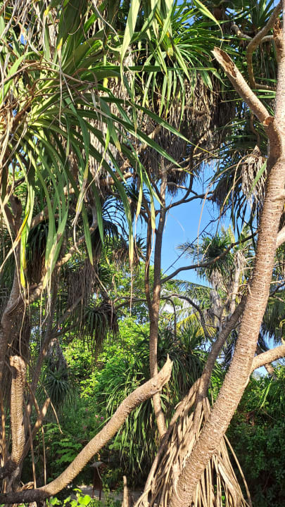 Strand Adaaran Select Meedhupparu Island Resort - Premium All Inclusive