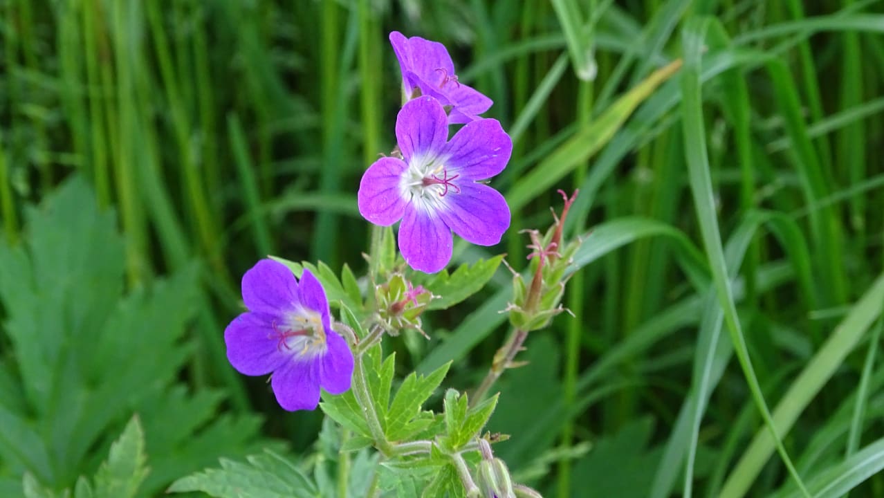 Sonstiges Appartement Vorderlengau