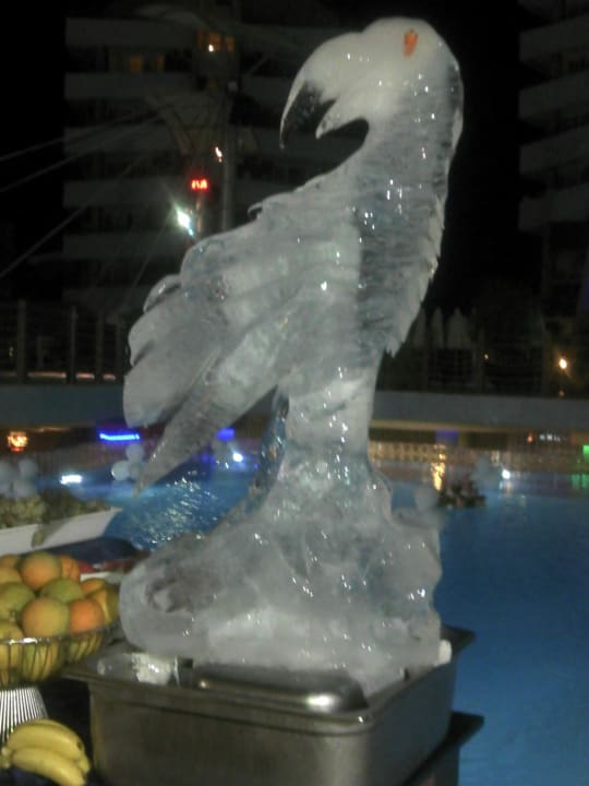 Gala Abend Alaiye Resort & Spa