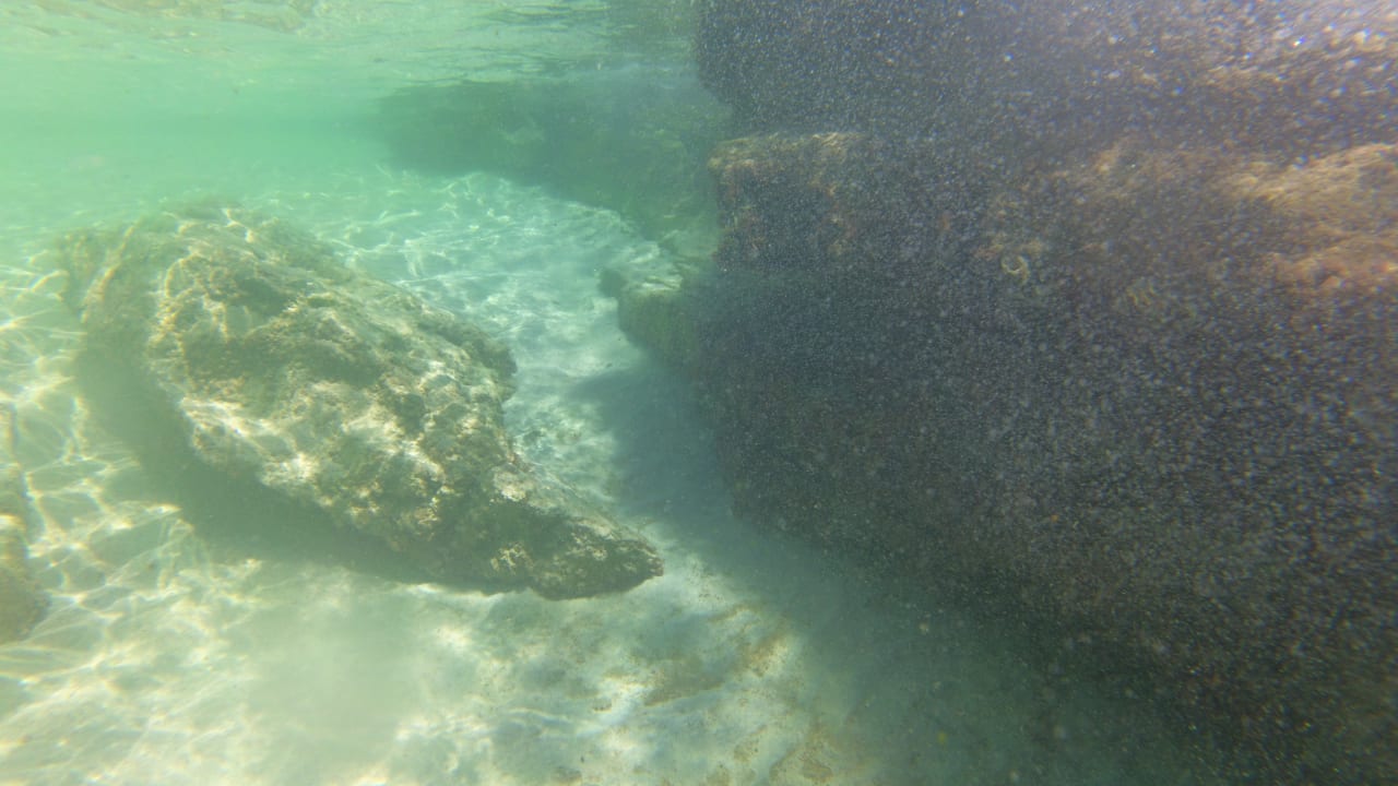 Sport & Freizeit Asterias Beach