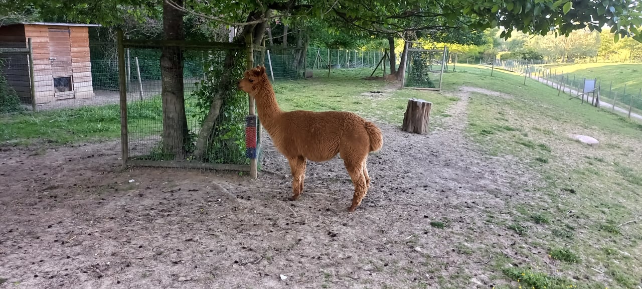 Sonstiges Campanile Val de France