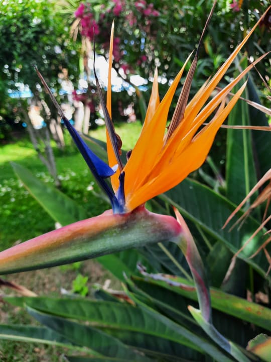 Sonstiges AQUA Hotel Onabrava & Spa