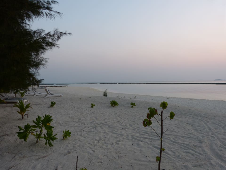 Strand Summer Island Maldives