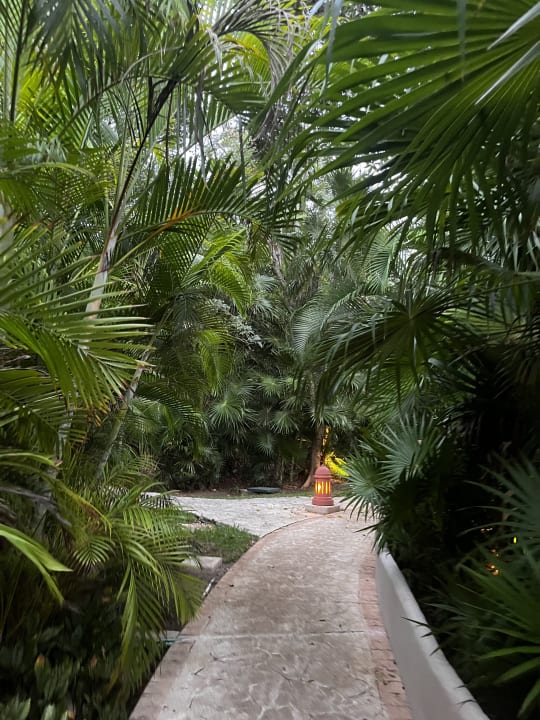 Gartenanlage Iberostar Waves Tucan