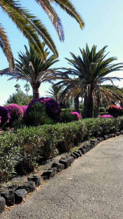 Garten Relaxia Olivina