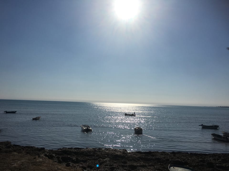 Gartenanlage Hotel El Mouradi Djerba Menzel