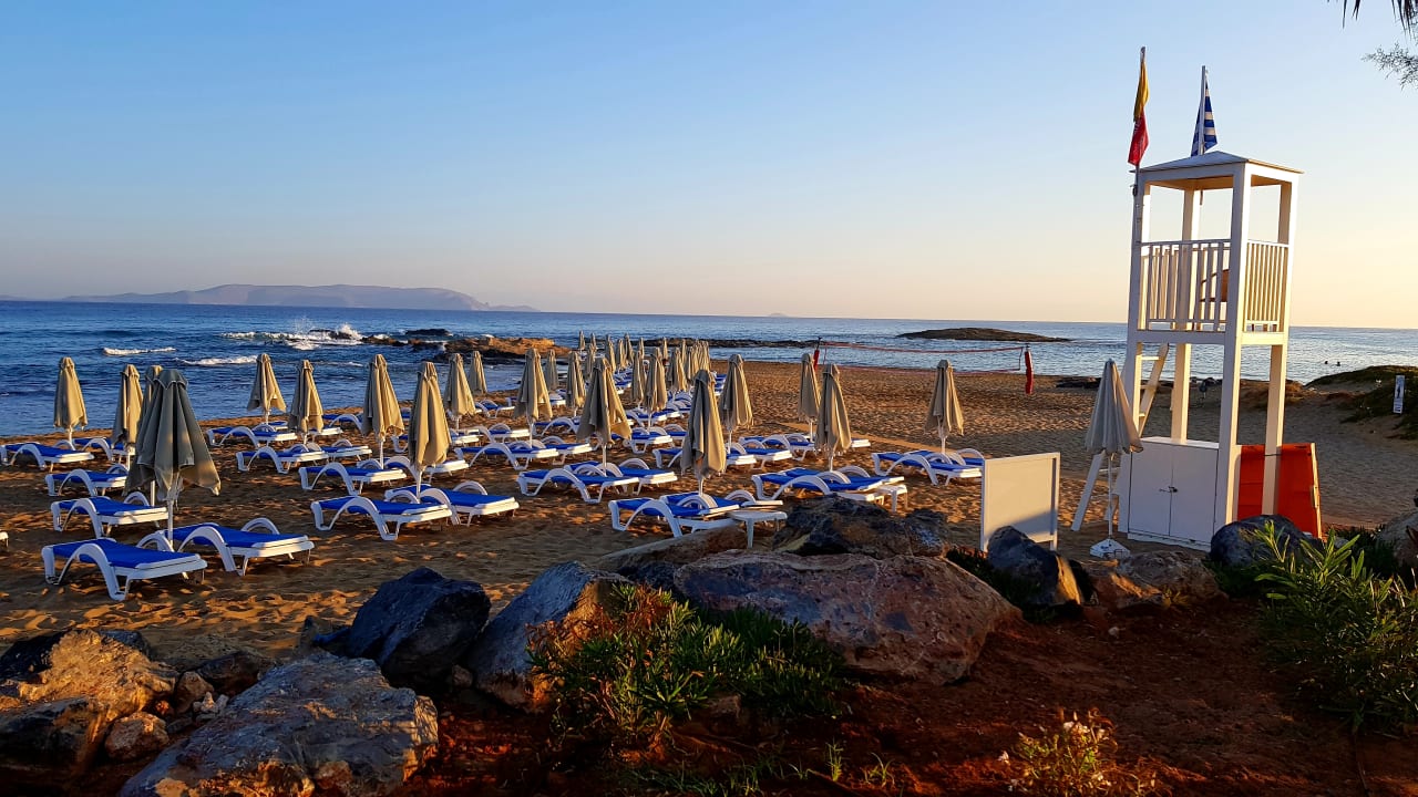 "Strand" Arina Beach Resort (Kokkini Hani) • HolidayCheck (Kreta