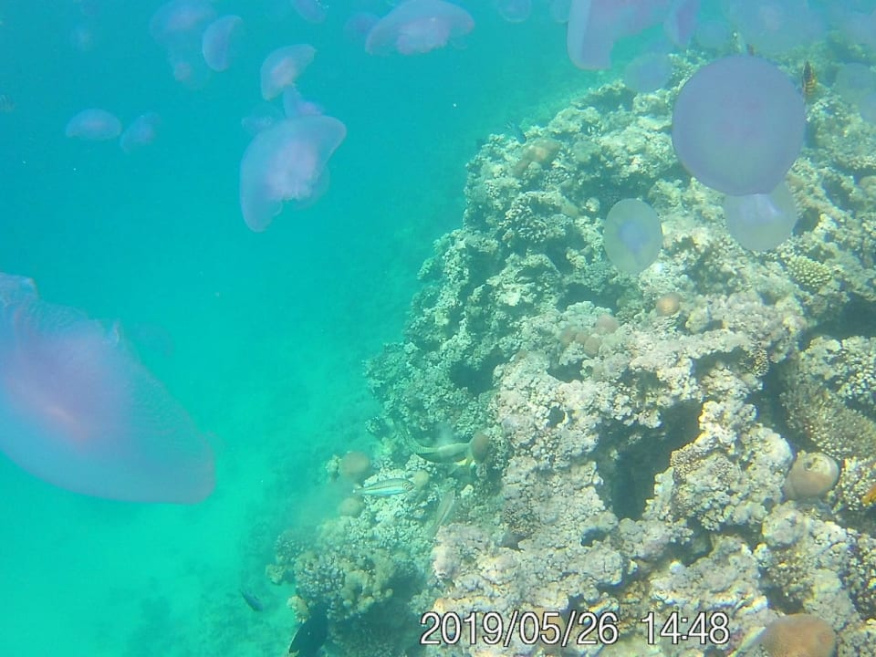 Sport & Freizeit Cleopatra Luxury Resort Makadi Bay