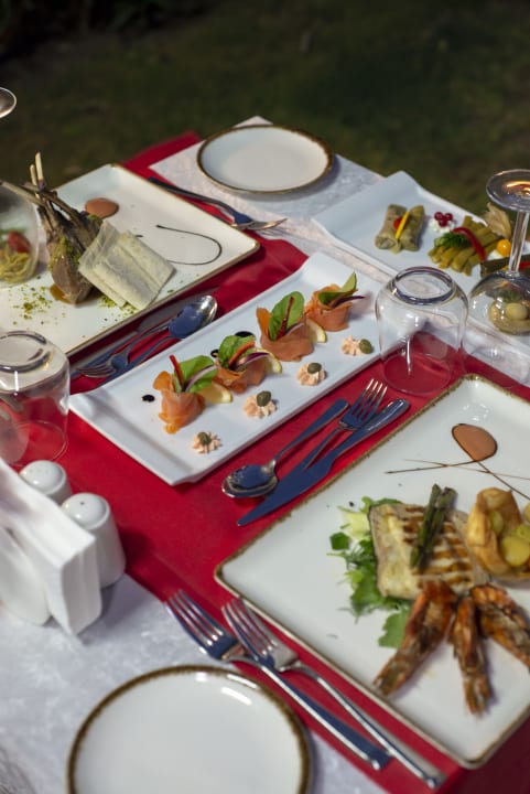 Gastro Adalya Elite Lara