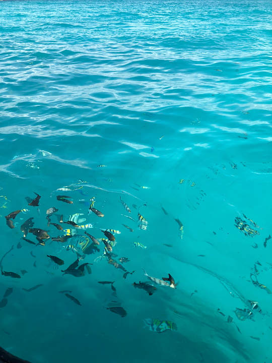 Strand Neptune Pwani Beach Resort & Spa