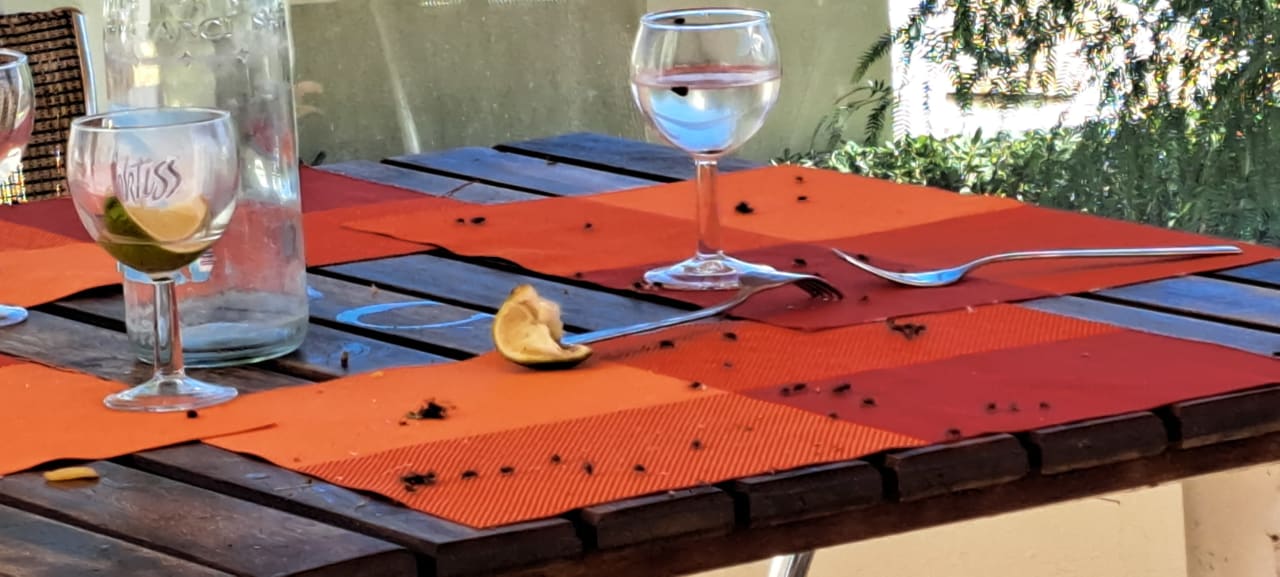 Gastro Calimera Delfino Beach Resort & Spa