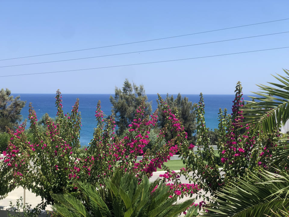 Gartenanlage Rodos Princess Beach Hotel & Spa