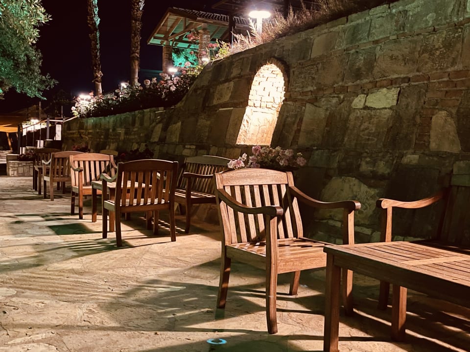 Gastro Arum Barut Collection