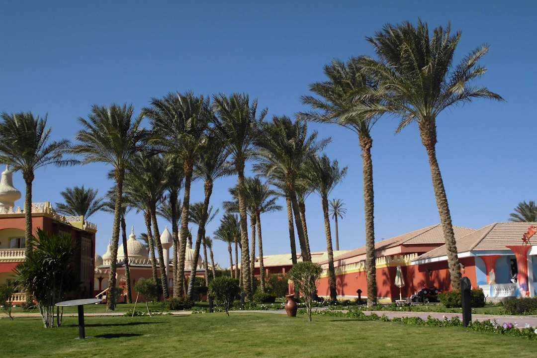Kleiner Teil des Außenbereichs Pickalbatros Alf Leila Wa Leila Resort - Neverland Hurghada