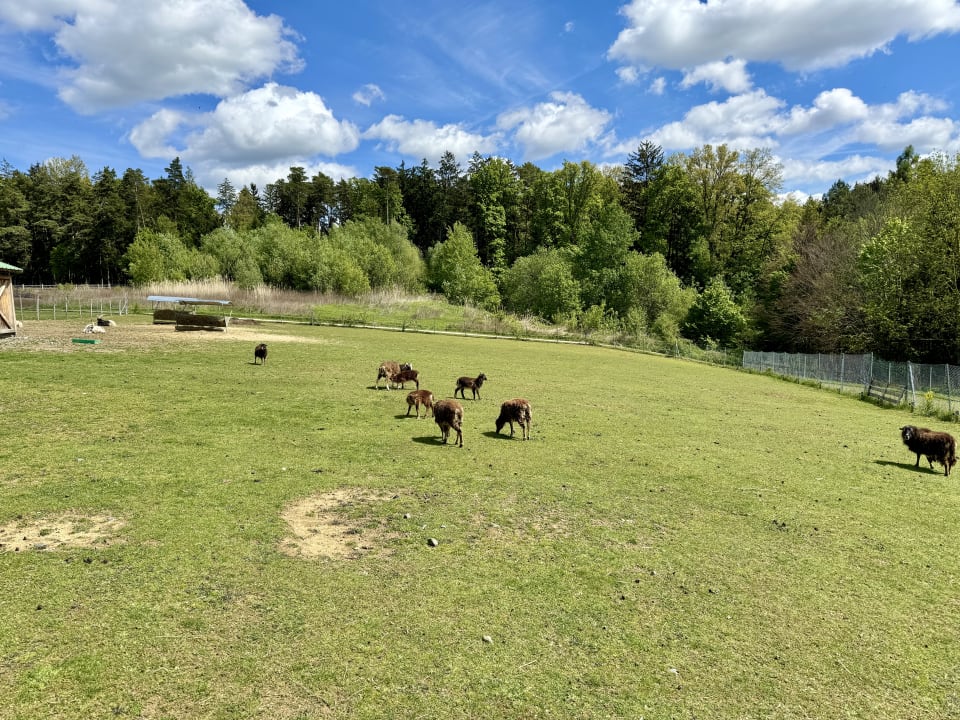 Sport & Freizeit Reiters Finest Family Hotel