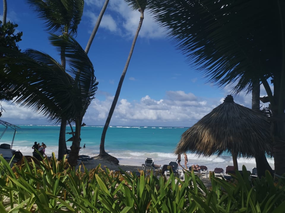 Ausblick Grand Palladium Select Bávaro Resort & Spa