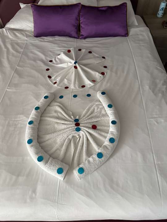 Zimmer Delphin BE Grand